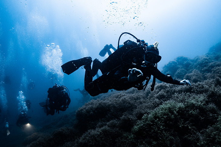 Scuba divers in the Hormigas Islands Marine Reserve in Cabo de Palos (Murcia, Spain) Scuba divers in the Hormigas Islands Marine Reserve in Cabo de Palos (Murcia, Spain)
