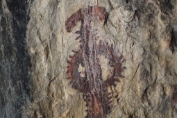 Sima de la Serreta cave in Cieza (Murcia). Semi-naturalistic figure belonging to the Schematic rock-art style