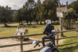 Desde la Sierra de la Demanda hasta la Ribera del Duero, cada trayecto suma patrimonio, naturaleza y el placer de conducir. Desde la Sierra de la Demanda hasta la Ribera del Duero, cada trayecto suma patrimonio, naturaleza y el placer de conducir.