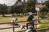 Desde la Sierra de la Demanda hasta la Ribera del Duero, cada trayecto suma patrimonio, naturaleza y el placer de conducir. Desde la Sierra de la Demanda hasta la Ribera del Duero, cada trayecto suma patrimonio, naturaleza y el placer de conducir.