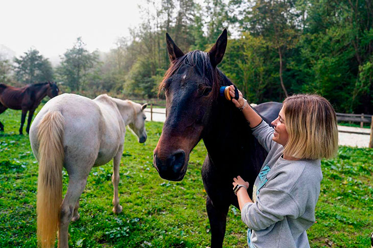 Experiencia regenerativa con caballos en Araitz, Casa rural Perunea Experiencia regenerativa con caballos en Araitz, Casa rural Perunea