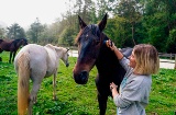 Experiencia regenerativa con caballos en Araitz, Casa rural Perunea