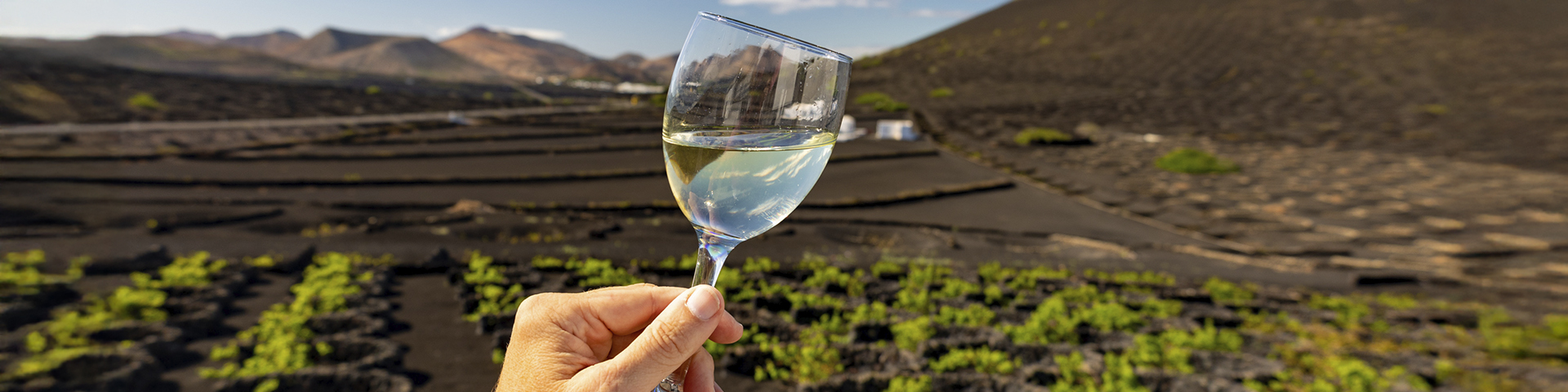 La Geria transforms Lanzarote’s volcanic landscape into unique vineyards, home to the emblematic Malvasía Volcánica
