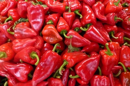 Pimientos del piquillo