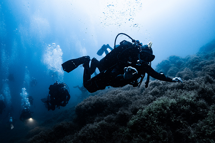 Group of divers in the Hormigas Islands Marine Reserve in Cabo de Palos, Murcia (Spain) Group of divers in the Hormigas Islands Marine Reserve in Cabo de Palos, Murcia (Spain)