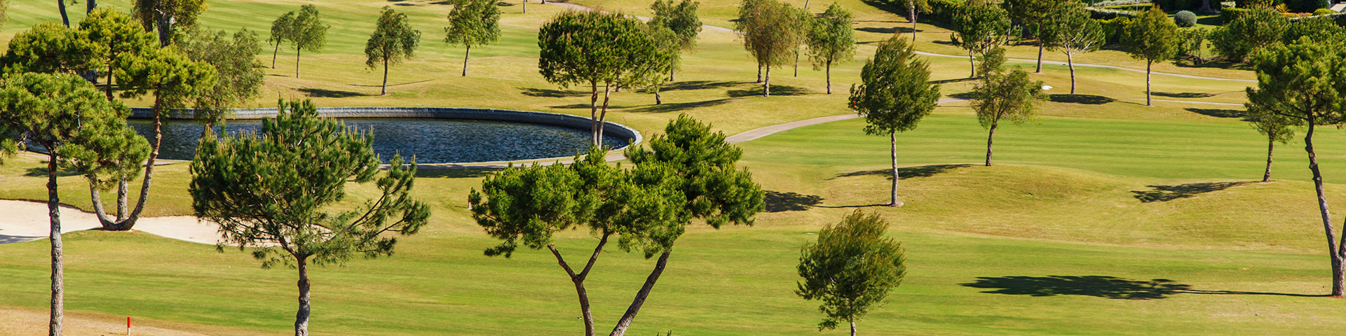 A Costa del Sol tem mais de 70 campos e em 2025 foi escolhida como o Melhor Destino de Golfe Europeu