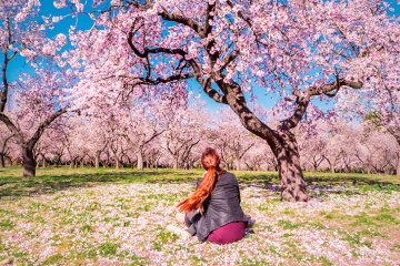 La Quinta de los Molinos cuenta con grandes extensiones de arbolado, siendo la estrella del parque los almendros, que florecen entre febrero y marzo