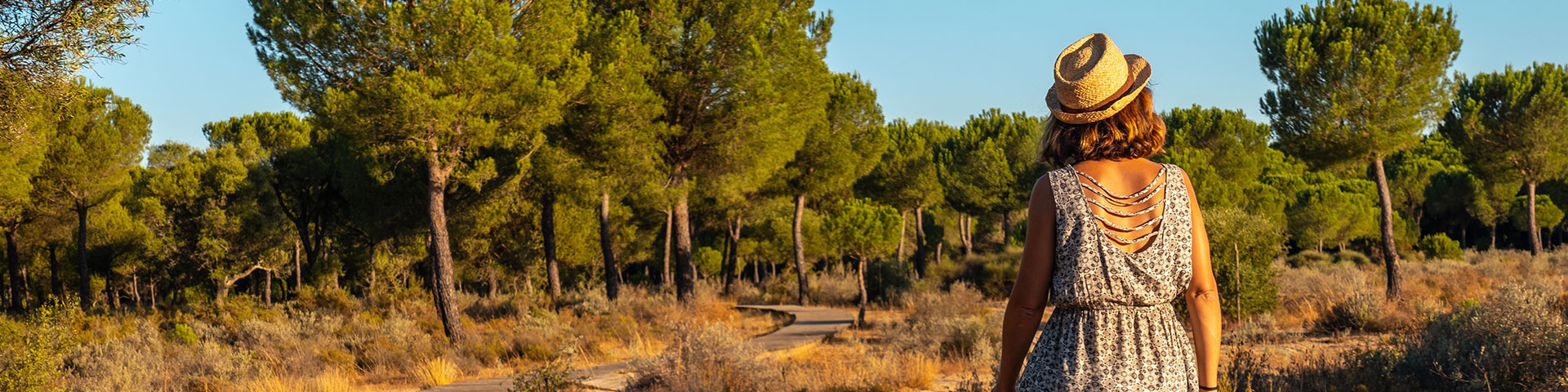 Doñana National Park, located between the Andalusian provinces of Huelva, Seville, and Cádiz, was declared a UNESCO Biosphere Reserve in 1980