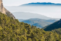 Parque Nacional Sierra Espuña, Murcia ©Shutterstock Parque Nacional Sierra Espuña, Murcia ©Shutterstock