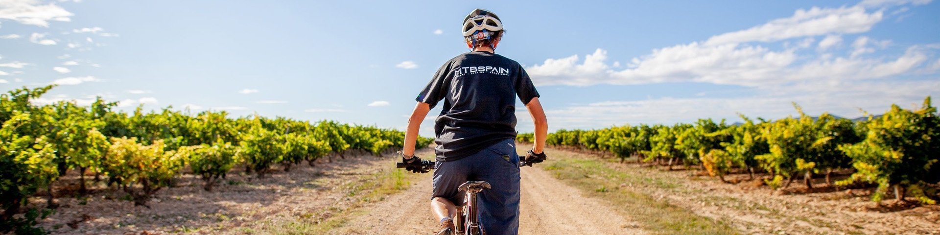 The routes through the vineyards are one of the most highly rated experiences among cyclists traveling to La Rioja