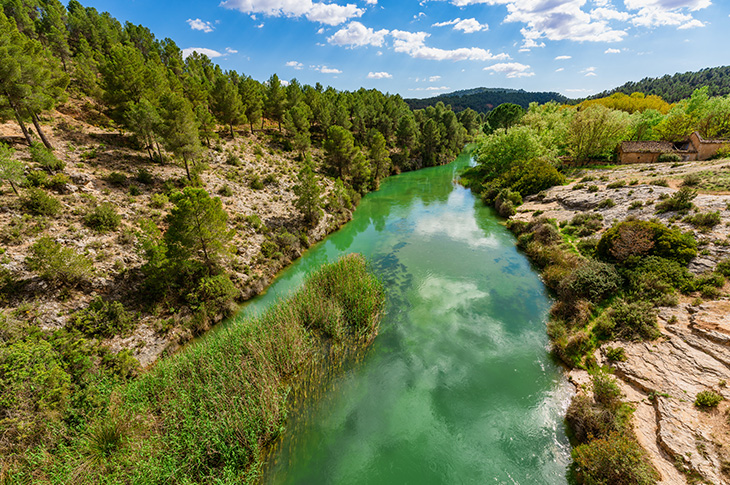 The Hoces del Río Cabriel, located between the Contreras and Cofrentes reservoirs, has been declared a Nature Park on its Valencian side and a Nature Reserve on the Manchegan side