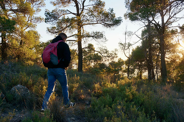 Sierra Espuña oferece dezenas de visitas guiadas para conhecer a sua biodiversidade e riqueza natural © Shutterstock Sierra Espuña oferece dezenas de visitas guiadas para conhecer a sua biodiversidade e riqueza natural © Shutterstock