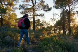 The Sierra Espuña offers dozens of routes to discover its biodiversity and natural treasures