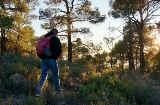 The Sierra Espuña offers dozens of routes to discover its biodiversity and natural treasures The Sierra Espuña offers dozens of routes to discover its biodiversity and natural treasures