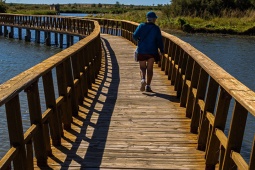 Le marais connu sous le nom de Las Tablas de Daimiel a été déclaré parc national en 1973 et réserve de biosphère en 1981
