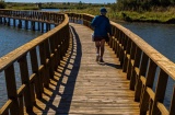 Le marais connu sous le nom de Las Tablas de Daimiel a été déclaré parc national en 1973 et réserve de biosphère en 1981 Le marais connu sous le nom de Las Tablas de Daimiel a été déclaré parc national en 1973 et réserve de biosphère en 1981
