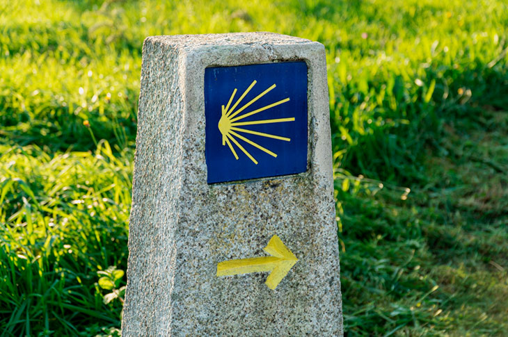 Peregrinación de vieiras amarillas a la ciudad de Santiago de Compostela. Hito del Camino de Santiago Peregrinación de vieiras amarillas a la ciudad de Santiago de Compostela. Hito del Camino de Santiago