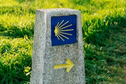 Pilgrimage of yellow scallops to the city of Santiago de Compostela. Milestone on the Way of Saint James Pilgrimage of yellow scallops to the city of Santiago de Compostela. Milestone on the Way of Saint James