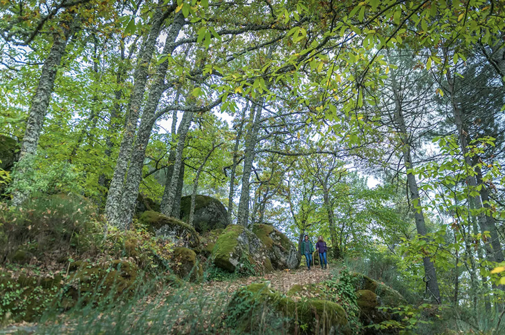 El Asentadero-Bosque de los Espejos es un camino circular de 9,2 kilómetros donde se han instalado obras de arte que sorprenden al caminante El Asentadero-Bosque de los Espejos es un camino circular de 9,2 kilómetros donde se han instalado obras de arte que sorprenden al caminante