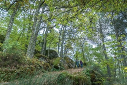 Asentadero-Bosque de los Espejos is a 5.7-mile circular trail dotted with works of art designed to surprise and delight hikers