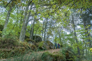 Asentadero-Bosque de los Espejos is a 5.7-mile circular trail dotted with works of art designed to surprise and delight hikers