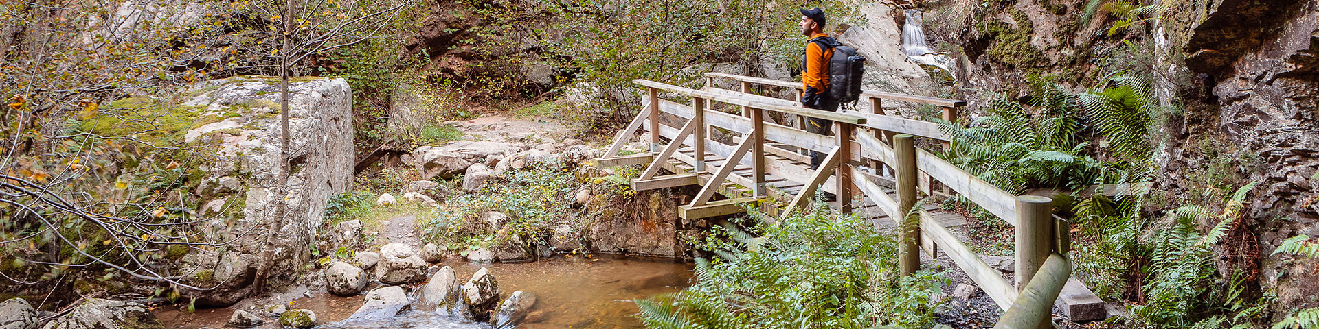 En imagen, el Puente de la Calabaza de Arriba en el Parque Natural de Redes. Los hayedos dan colorido, y se aprecia el típico bosque de ribera y montaña