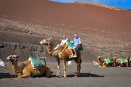 O passeio de camelo é uma experiência imperdível para viajar no Parque Nacional de Timanfaya (Lanzarote)