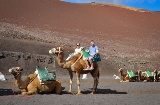 A camel trek is a must-do experience when exploring Timanfaya National Park (Lanzarote) A camel trek is a must-do experience when exploring Timanfaya National Park (Lanzarote)