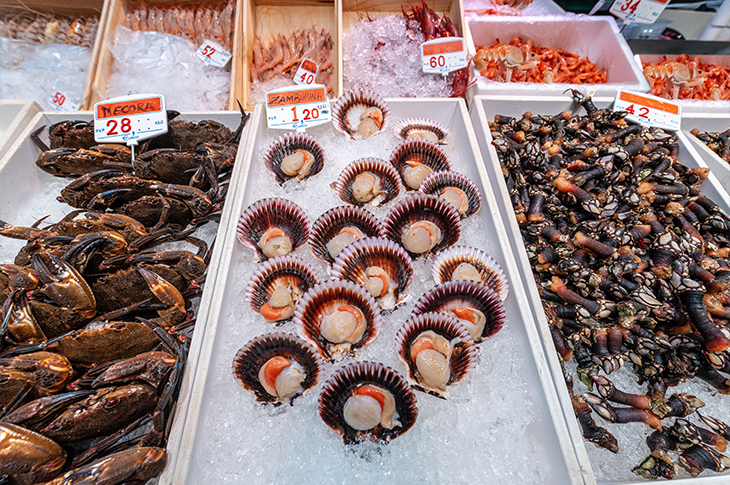 Mariscos frescos expuestos en uno de los puestos del Mercado de la Esperanza, en Santander.