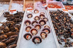 Mariscos frescos expuestos en uno de los puestos del Mercado de la Esperanza, en Santander.