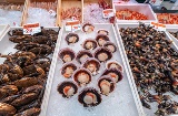 Mariscos frescos expuestos en uno de los puestos del Mercado de la Esperanza, en Santander. Mariscos frescos expuestos en uno de los puestos del Mercado de la Esperanza, en Santander.