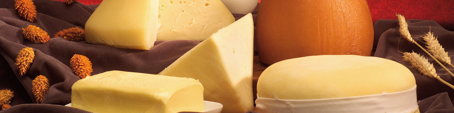 Tetilla, San Simón, Arzúa-Ulloa, and Cebreiro are the four Galician cheeses with Designation of Origin