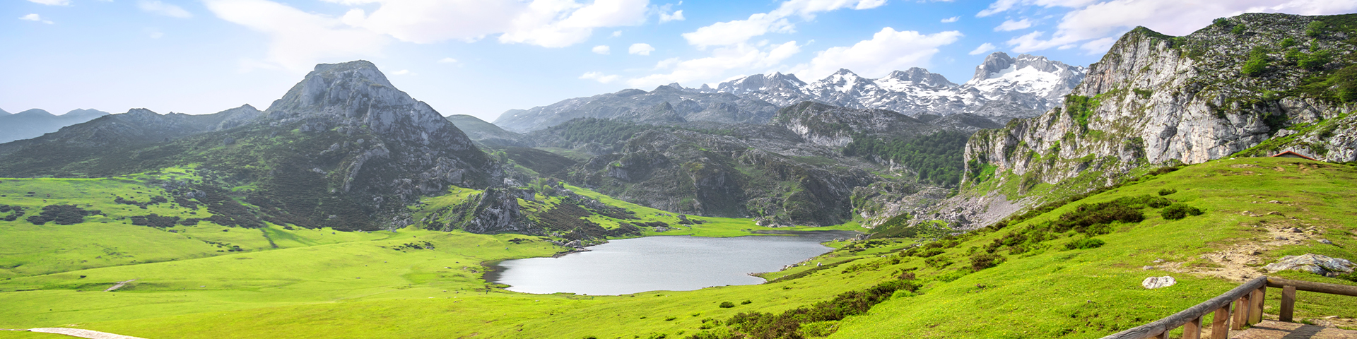Picos de Europa, uno de los 16 Parques Nacionales de España, es uno de los ejemplos más representativos del ecosistema atlántico. Compartido por Asturias, Cantabria y León, es además el hogar de dos de los animales más emblemáticos que habitan en el país: el oso pardo y el lobo ibérico