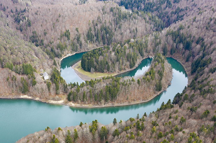 La Selva de Irati, declarada Reserva de la Biosfera por la UNESCO en el año 2024, abarca 53.660 hectáreas en los valles de Aezkoa y Salazar (Navarra), y es el segundo hayedo más extenso de Europa y un paraíso de biodiversidad