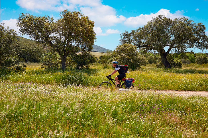 Cyklist på en strækning af Vía de la Plata, der passerer gennem Extremadura