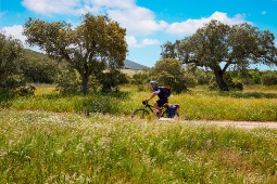 Cyclist riding a section of the Silver Way as it passes through Extremadura