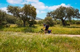 Cyclist riding a section of the Silver Way as it passes through Extremadura Cyclist riding a section of the Silver Way as it passes through Extremadura