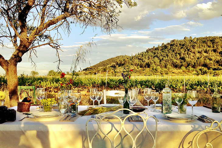 Experiencing gastronomy events centered on wine in a Rioja vineyard is a must for MICE tourism