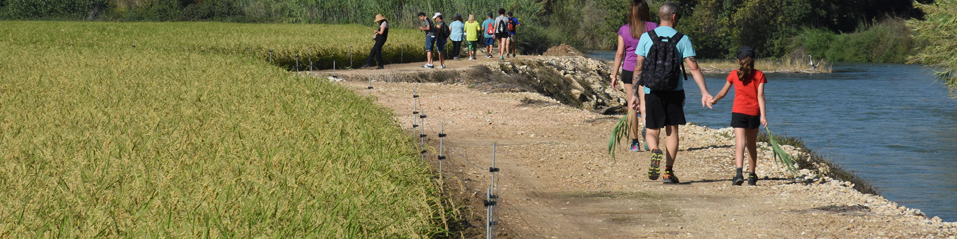 Rismarkerne i Calasparra skaber et landskab, hvor vand, bæredygtighed og tradition smelter sammen i alle årstider