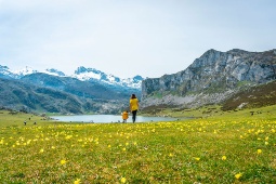 Lake Ercina i Covadonga (Picos de Europa nationalpark) är en av de mest populära platserna i Asturias Lake Ercina i Covadonga (Picos de Europa nationalpark) är en av de mest populära platserna i Asturias