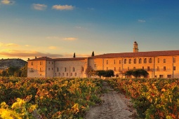 Abadía Retuerta has made ESG criteria a core pillar of its work, striving every day to create a positive impact on the environment and promote sustainability