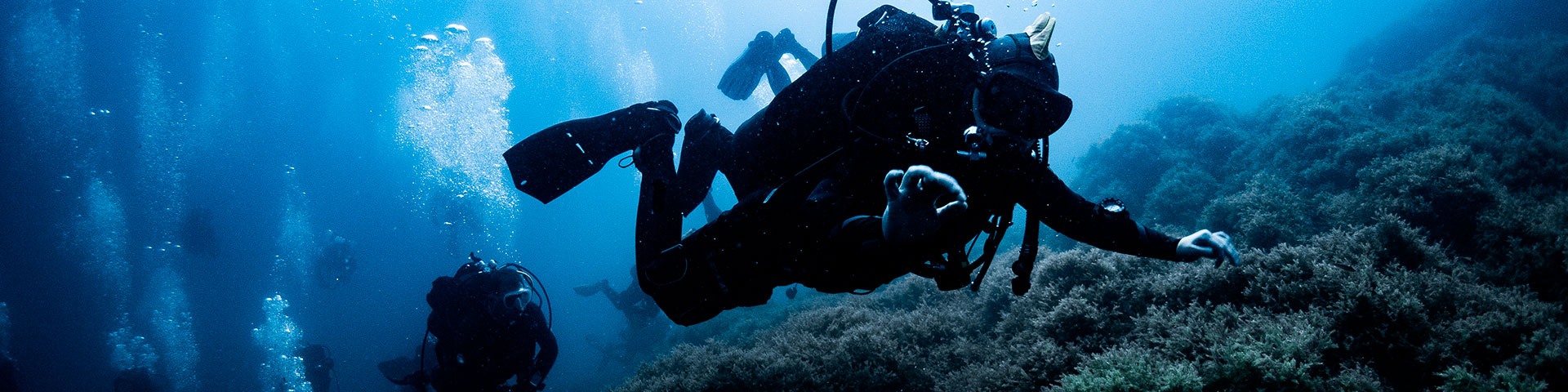 La Reserva Marina de Cabo de Palos (Murcia) es uno de los entornos más recomendables para iniciarse en el submarinismo