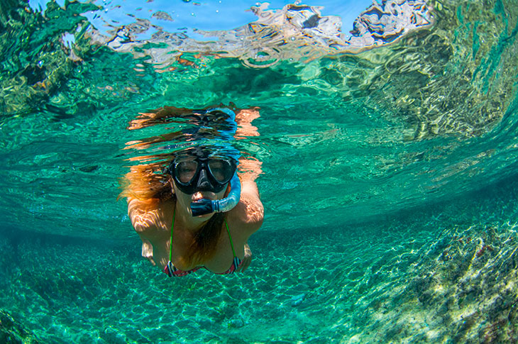 Las aguas cristalinas de Tenerife (Islas Canarias) permiten observar con claridad una amplia variedad de peces Las aguas cristalinas de Tenerife (Islas Canarias) permiten observar con claridad una amplia variedad de peces