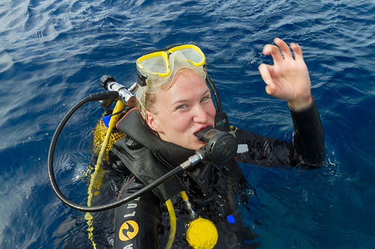 In La Restinga, divers can encounter large groupers and spot impressive rays