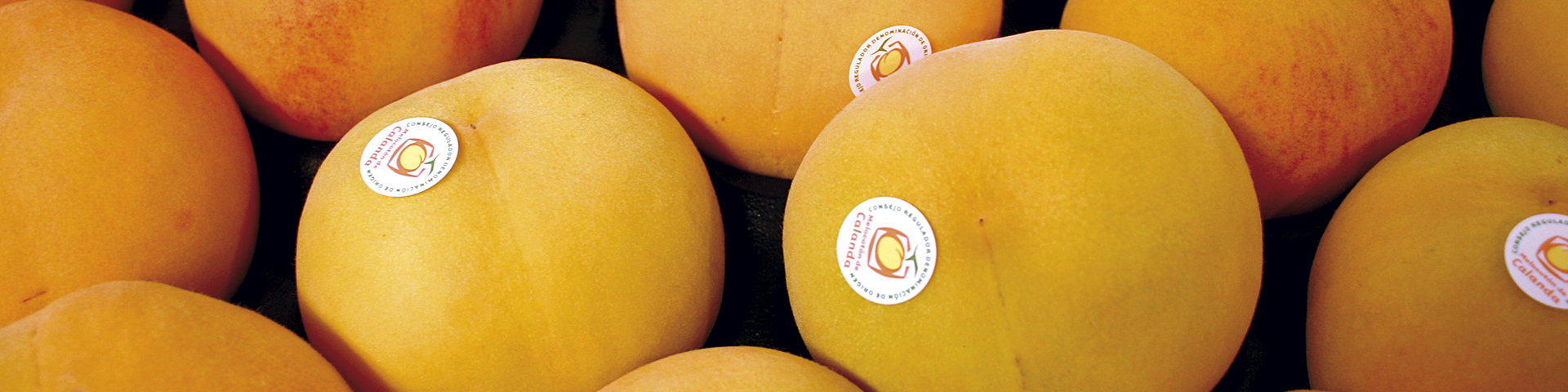 The Calanda Peach is a Protected Designation of Origin whose production area is the natural region located to the east of the Autonomous Community of Aragon, between the provinces of Zaragoza and Teruel