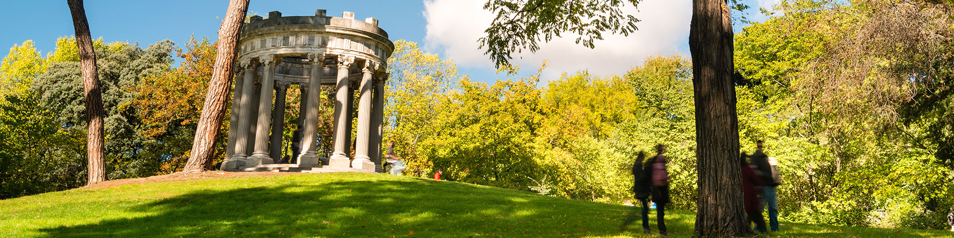 Madrid ha sido reconocida por 6º año consecutivo como Ciudad Arbórea por la FAO. En imagen, el parque de El Capricho