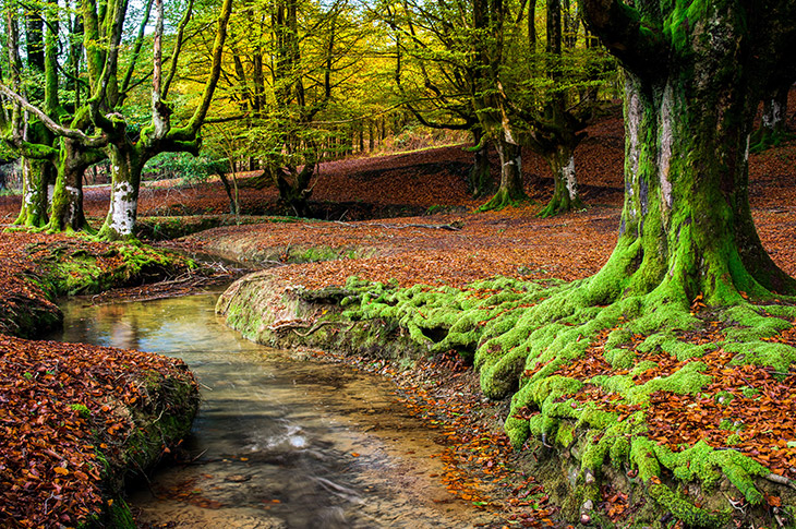 El Gorbea fue declarado Parque Natural en 1994 y sus 20.016 hectáreas le convierten en el más extenso del País Vasco El Gorbea fue declarado Parque Natural en 1994 y sus 20.016 hectáreas le convierten en el más extenso del País Vasco