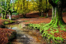 El Gorbea tika pasludināts par dabas parku 1994. gadā, un tā 49 460 akru platība padara to par lielāko Basku zemē El Gorbea tika pasludināts par dabas parku 1994. gadā, un tā 49 460 akru platība padara to par lielāko Basku zemē