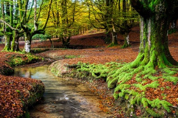 El Gorbea fue declarado Parque Natural en 1994 y sus 20.016 hectáreas le convierten en el más extenso del País Vasco