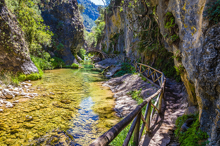 La Cerrada de Elías recorre una garganta sinuosa quebrada por el río Borosa en la Sierra de Cazorla (Jaén, España) La Cerrada de Elías recorre una garganta sinuosa quebrada por el río Borosa en la Sierra de Cazorla (Jaén, España)